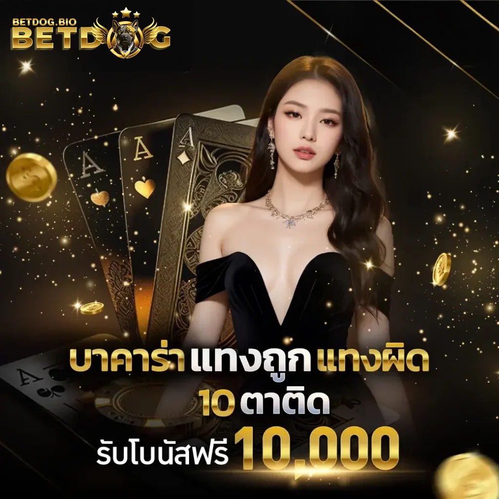 โปรโมชั่น betdog